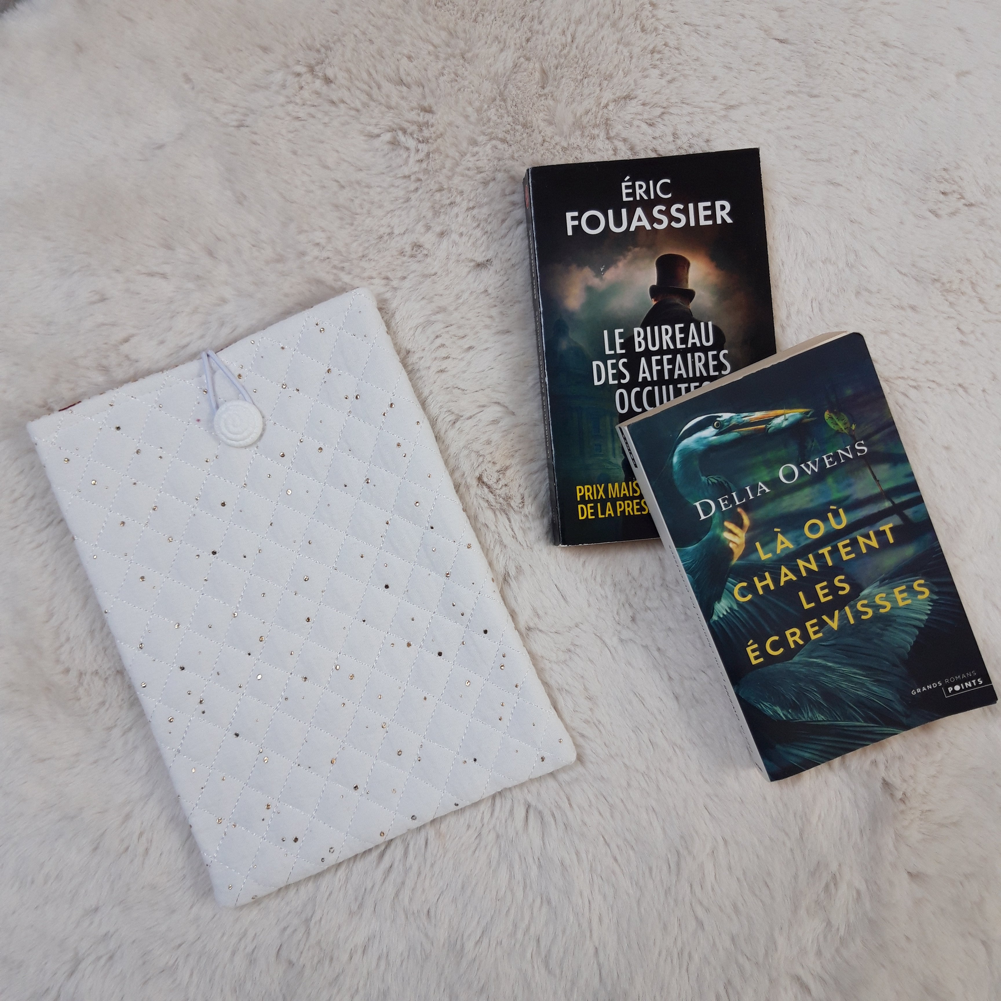 Pochette à livres blanc et oiseaux