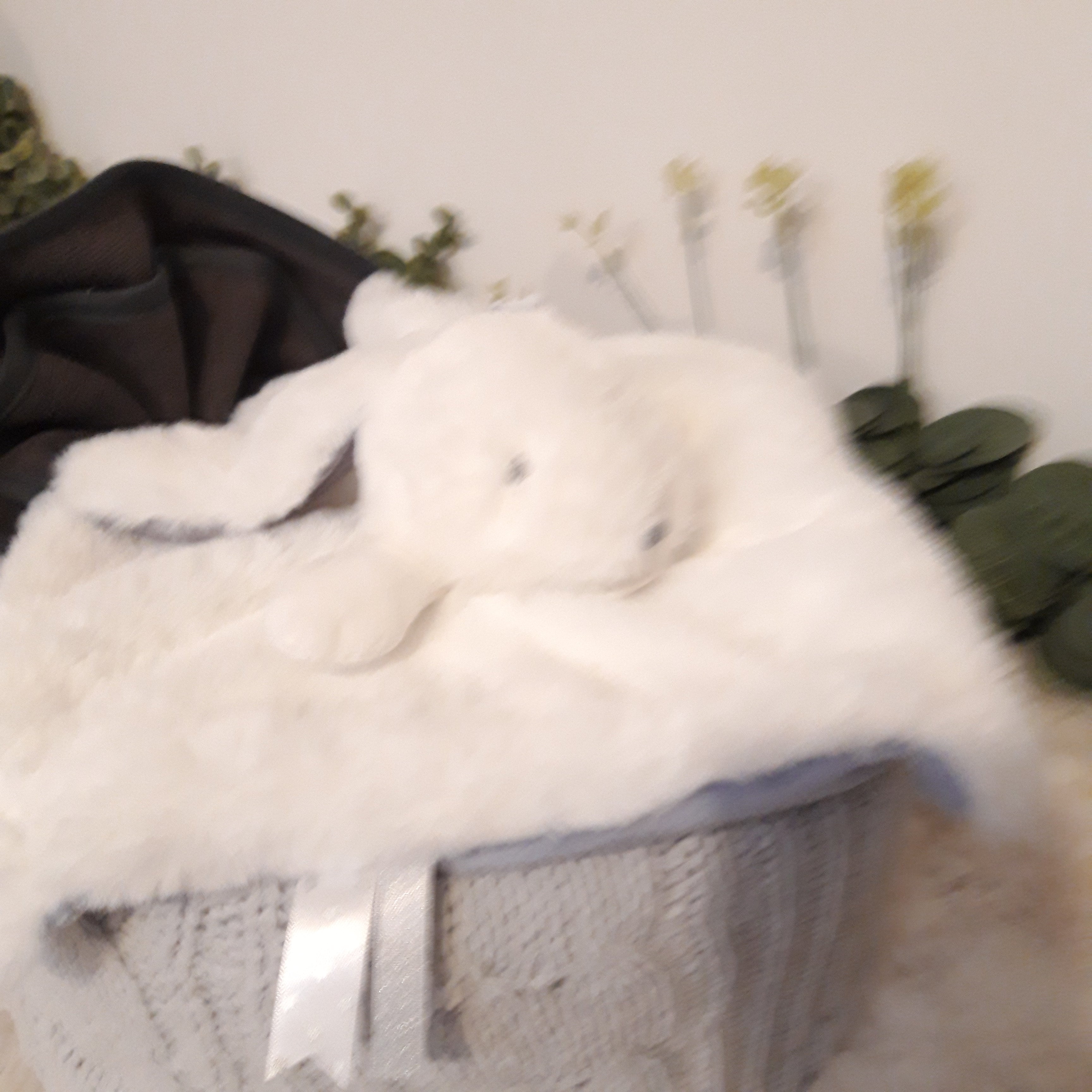 Gâteau de couches - Lapin doudou blanc