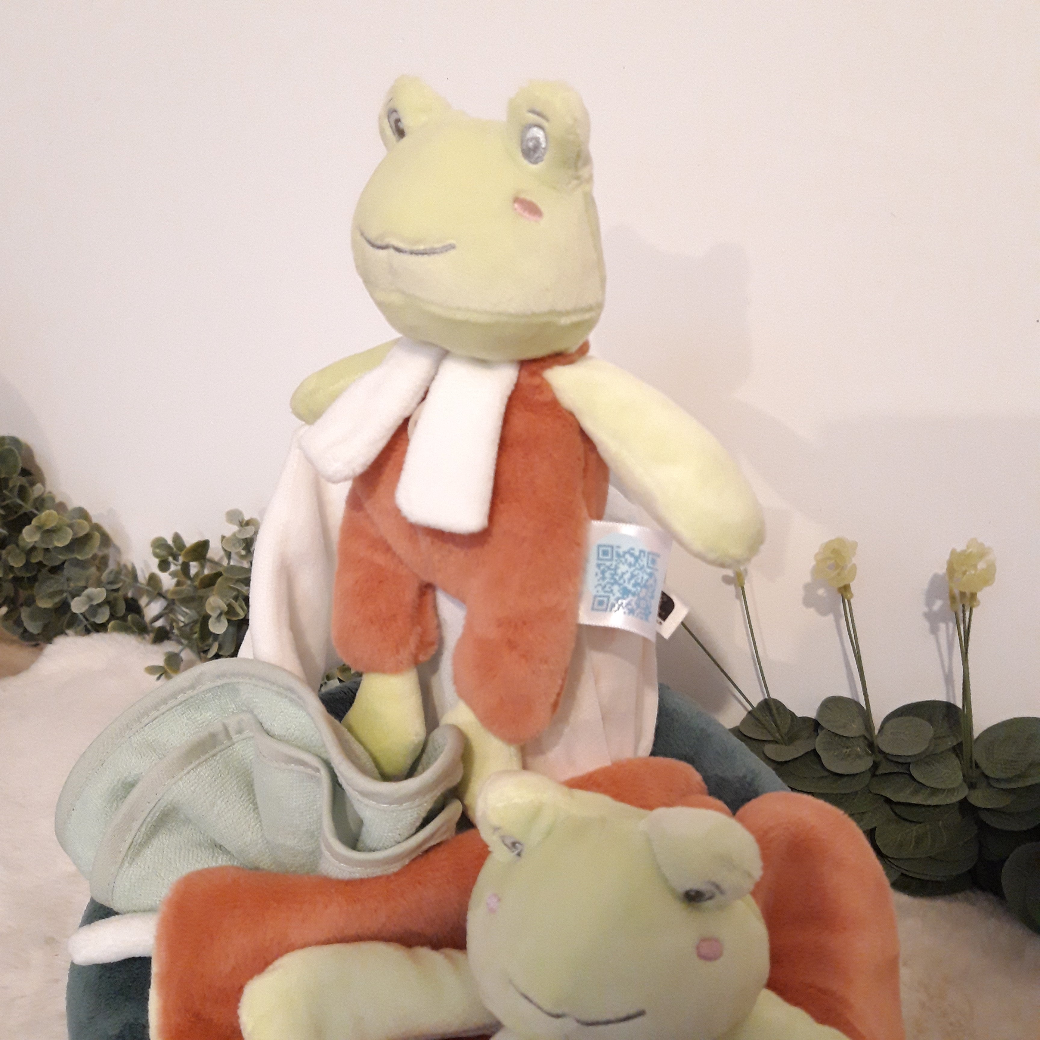 Gâteau de couches - Les grenouilles en folie