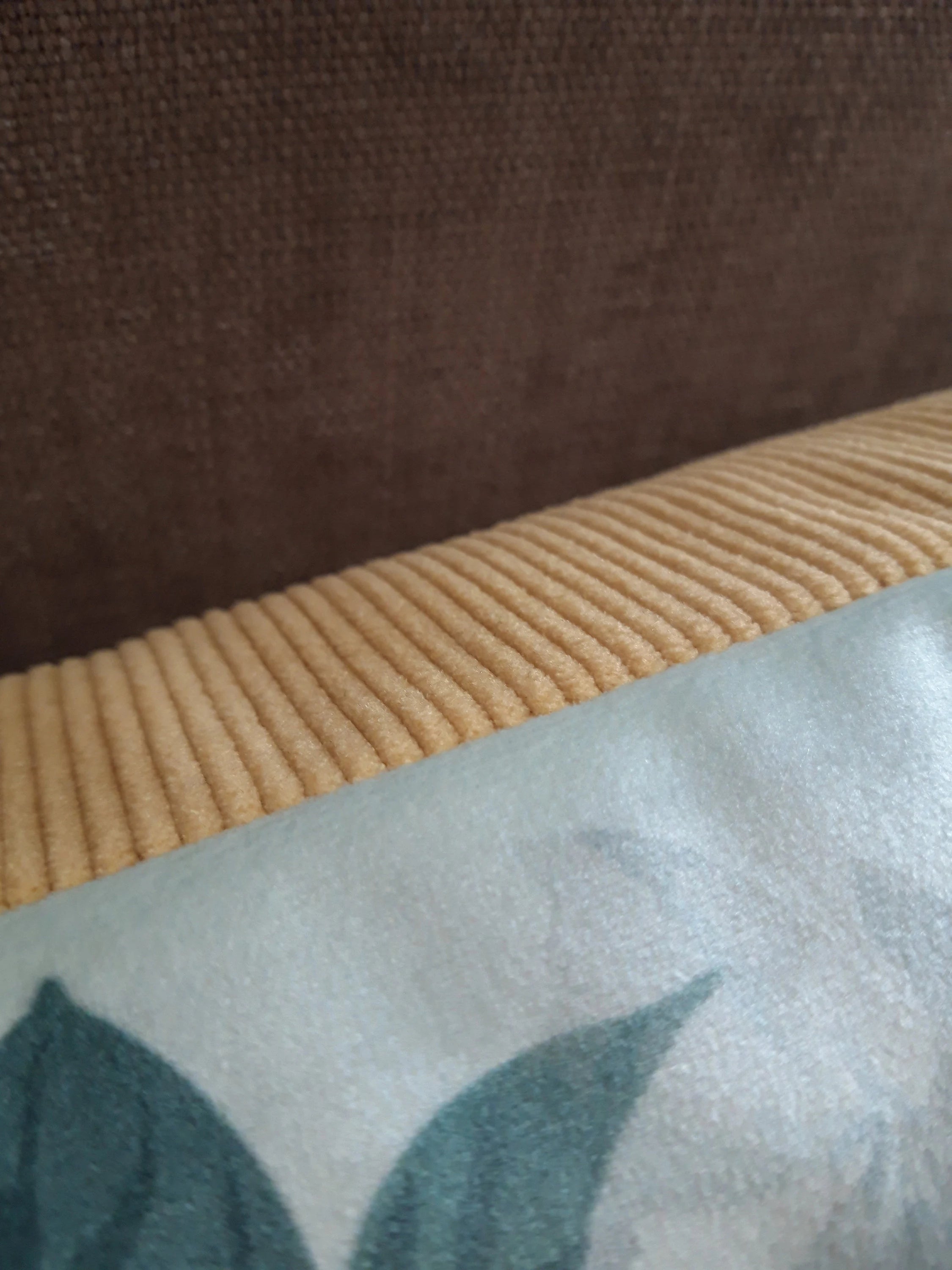 Housse de coussin perroquet