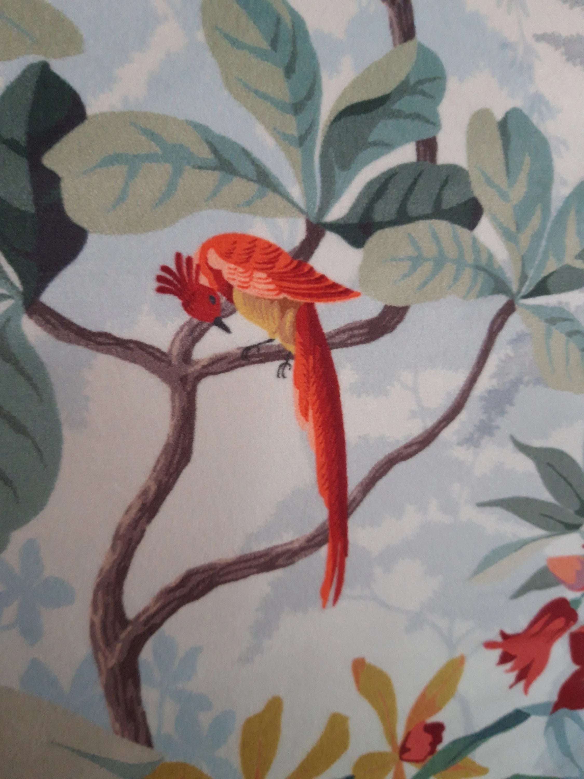 Housse de coussin perroquet