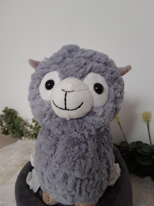 Gâteau de couches - Mon ami le lama